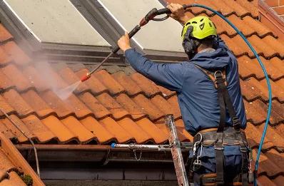 Démoussage et hydrofuge de toiture à Saint-Jodard